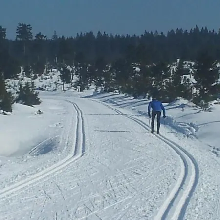 Hirschkopf By Interhome Апартаменты Weitersglashutte