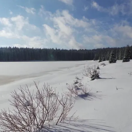 Hirschkopf By Interhome Апартаменты Weitersglashutte