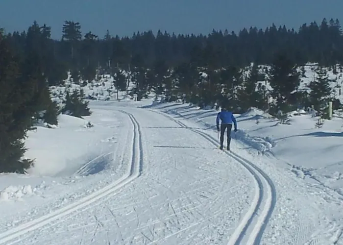 Hirschkopf By Interhome Apartment Weitersglashütte