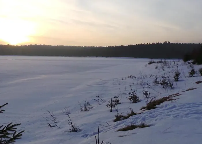 Hirschkopf By Interhome Apartment *