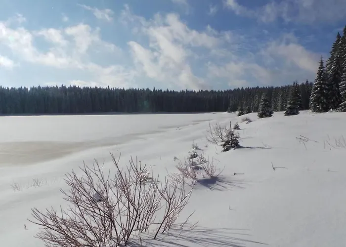 Hirschkopf By Interhome Apartment Weitersglashütte